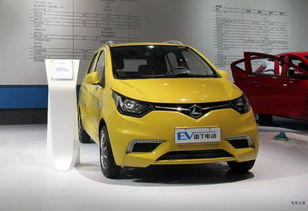 從低速電動(dòng)車到新能源汽車,雷丁汽車是不是想的太簡(jiǎn)單了