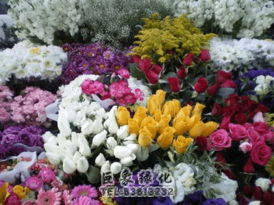 我國花卉市場的現狀及發展趨勢簡析