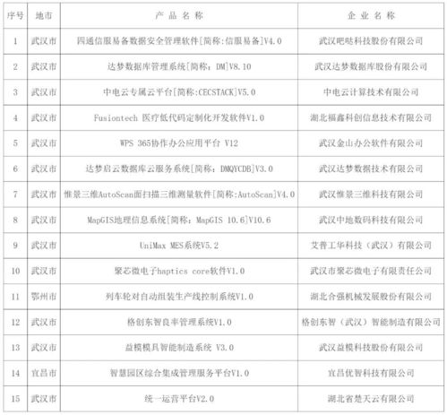 2024年湖北省首版次軟件產(chǎn)品暨關(guān)鍵軟件獨立研發(fā)企業(yè)清單正式公示